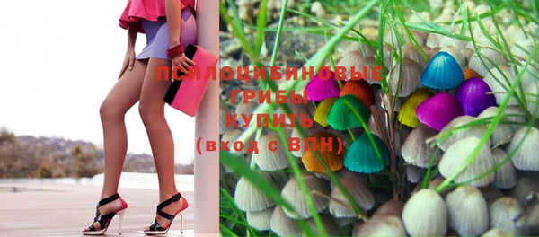 PSILOCYBIN Лагань