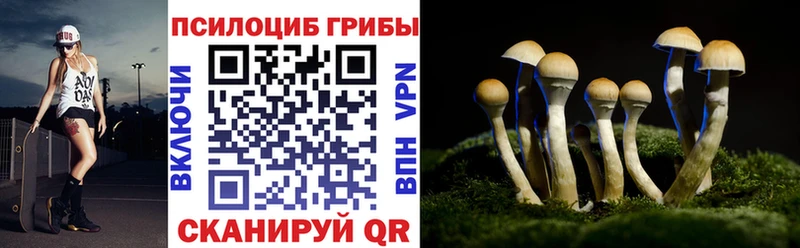купить наркотики цена  Юрюзань  Галлюциногенные грибы GOLDEN TEACHER 
